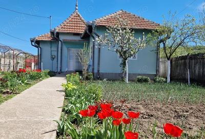 Casă cu 5 camere cu Teren 1265 Mp în Corlățel - 1