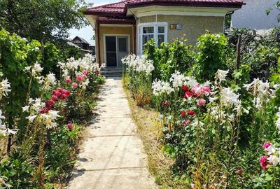 Casă cu 3 camere în Călui - 7
