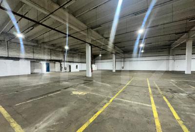 Hala de produc?ie ?i depozitare, 4500 mp Deva - 5