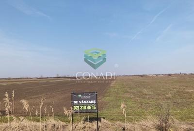 Teren Construcții intravilan de 535 mp, în Tărtășești - 6