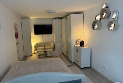 Dacia - Str Brasovului - Apartament renovat, mobilat, - 1