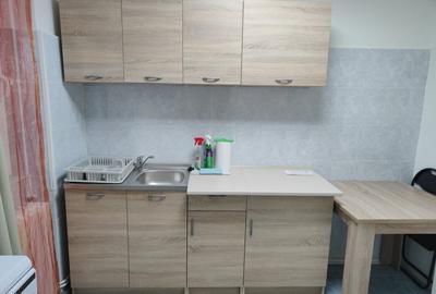 Apartament cu 2 camere nedecomandat, mobilat în Podu Roș - 3