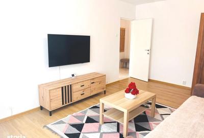 Apartament cu 2 camere decomandat, mobilat în Brazda lui Novac - 15