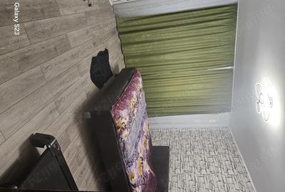 Casă cu 6 camere în Bălăceanca - 2