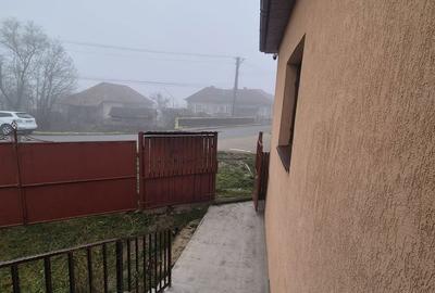 Casă cu 3 camere cu Teren 2800 Mp în Sânmihaiu Almașului - 8