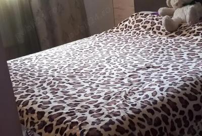 Vand casa cu 3 camere - 3