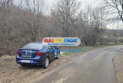 Teren Construcții intravilan de 2248 mp, în Răzvad - 2