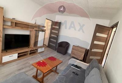 Apartament cu 2 camere, mobilat în Bordei - 10