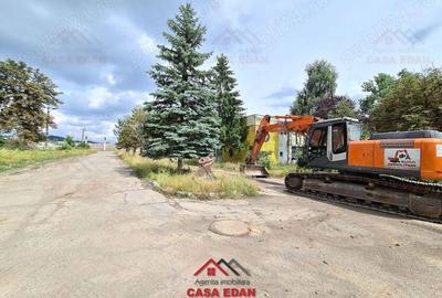 Casă cu Teren 12000 Mp în Câmpina - 1