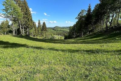 Teren de 4000 mp, în Gârda de Sus - 2