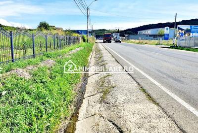 Teren intravilan 3.000 mp.cu deschidere de 40 m la E60 - 2