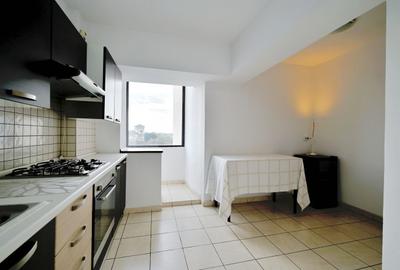 VANZARE Duplex 4 camere pe 2 niveluri (et.6 si 7) – Bd. Unirii nr. 12 (Fantani) - 12