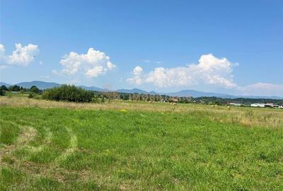 Teren de 800 mp, în Coltău - 4