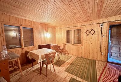 CABANA DE VANZARE, ARDUD-VII - 4