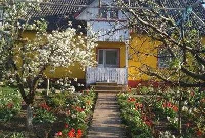 Casă cu 3 camere în Săpata - 6