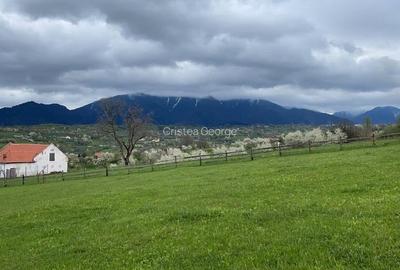 Sohodol, locatie minunata - teren intravilan 1850 mp - 4