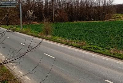 Teren intravilan 5.000 m² cu 40 m deschidere la DN2A – langa Kaufland Slobozia - 10