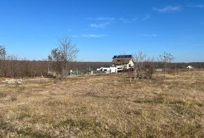 Gradistea- Ilfov, str. Nuferilor - 1000 mp - 7