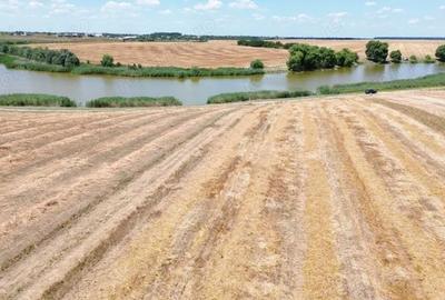 Teren de 6500 mp, în Frumușani - 14