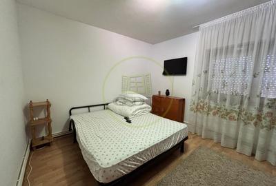 Apartament cu 2 camere decomandat, mobilat în George Enescu - 4