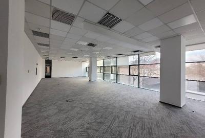 H Herastrau Park, Caramfil, 500 - 1200 mp  0% comision! - 8