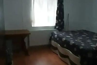 Apartament cu o Camera - 4