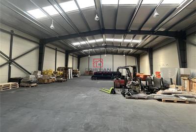 Spațiu comercial, de 1,500 mp, în Jilava - 5