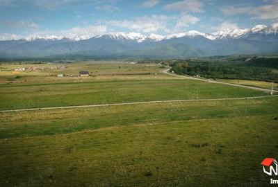 Teren de 5300 mp, în Central