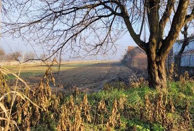 Spațiu comercial, în Săulești - 4