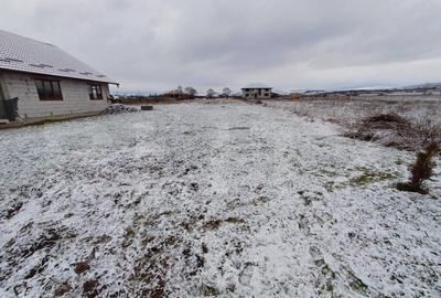 Teren de 1000 mp, în Central - 2