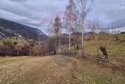 Comision 0 %/ Teren extravilan 13,570mp Pestera / Priveliste Manastire - 3