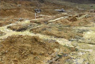 Teren de 1170 mp, în Dumbrăvița - 2