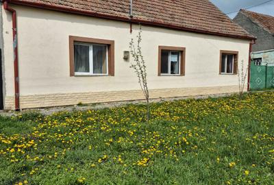 Casă cu 3 camere în Breștea