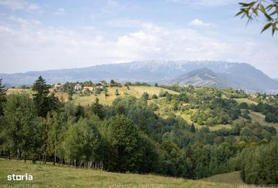 Spațiu comercial, în Sohodol - 9