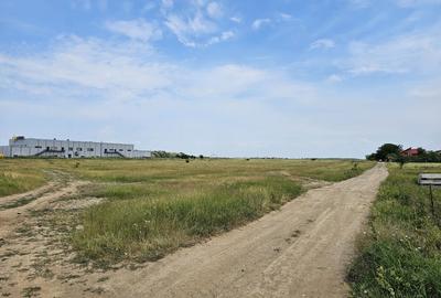 3000 m2 plasat exceptional, vest de Voluntari 3000 m2 plasat exceptional, vest de Voluntari - 4