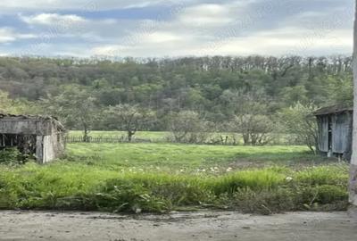 Casa cu cerdac ,gradina mare 3217 si teren 4000 mp un total de 7217 mp.Curent trifazic. - 1