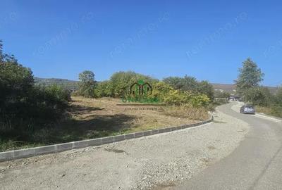 Teren 3960 mp / intravilan / Ramnicu Valcea - 4