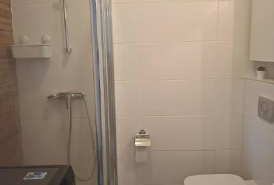 Apartament cu 3 camere decomandat, mobilat în Take Ionescu - 16
