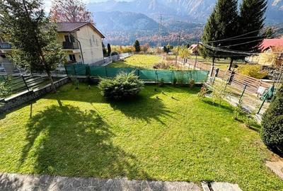 Vila Exclusivista Piatra Arsa Busteni - 19