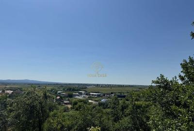 De vanzare Casa cu teren 3500MP in Sabisa/Maramures - 2