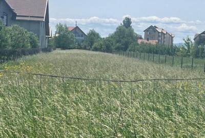 Teren intravilan ,2000 mp,Radauti - 5