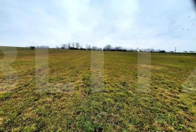 Teren de 4300 mp, în Sopor - 3