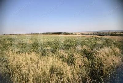 Teren 30.350 mp (600 mp intravilan) ideal investi?ie, Carcea Metro - 1