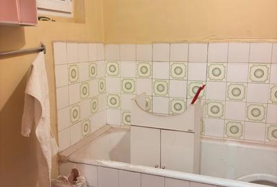 Colentina Dna Ghica | 2 camere decomandat | priveliste superba spre lac - 8
