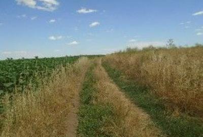 Teren extravilan Caldararu, ID: R2616308 - 5