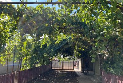 Casă de vânzare la țară 1824 m2 Casă de vânzare la țară 1824 m2 - 2