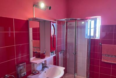 Casa P+1 cu teren de 303mp in apropierea stadionului Ion Oblemenco - 10