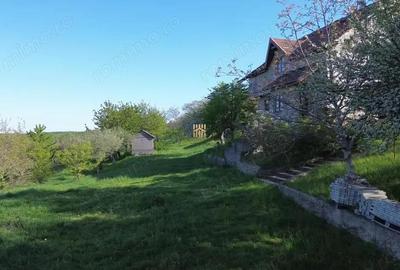 Teren 4800 mp cu Livada si Casa Nefinalizata - Adancata! - 13