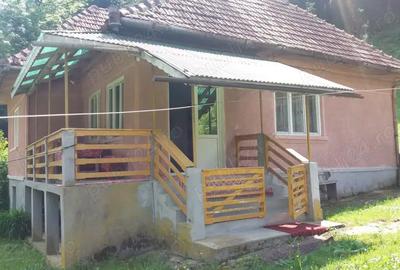 Casă cu 3 camere cu Teren 3200 Mp în Mihăileni - 6