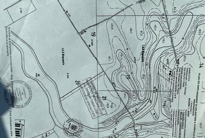 Campul Pipera - Teren 709 mp cu deschidere la lac - 2